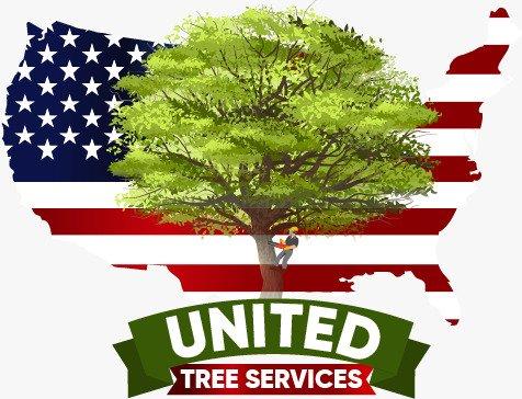 United Tree Services